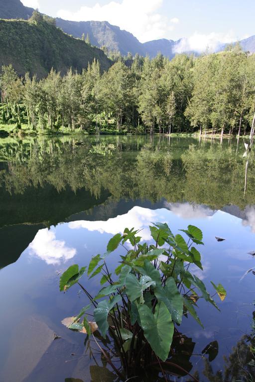 Le Relais Des Cimes Hotel Salazie Bagian luar foto